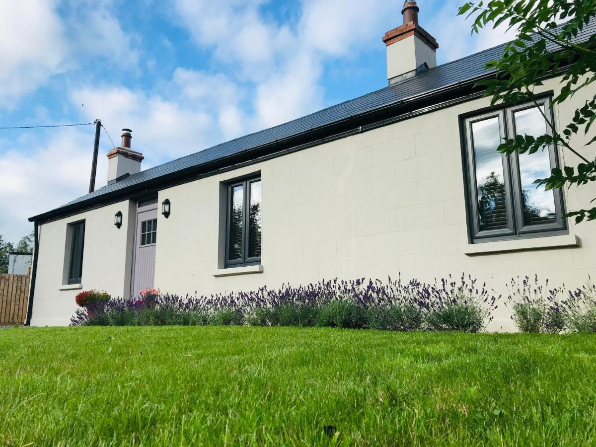 Lavender Cottage - 2 Bedroom Home Newbridge  Exteriér fotografie